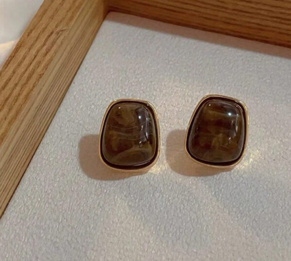 1pair Vintage Geometric Resin Earrings